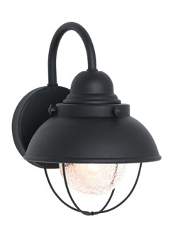 Sebring transitional 1-light outdoor exterior small wall lantern sconce in black finish with clear s (38|8870-12)