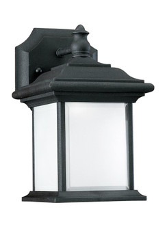 Wynfield traditional 1-light LED outdoor exterior wall lantern sconce in black finish with frosted g (38|89101EN3-12)