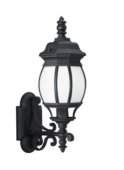 Wynfield traditional 1-light LED outdoor exterior medium wall lantern sconce in black finish with fr (38|89102EN3-12)