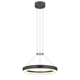 16'' LED Ring Pendant (107|2313.25)