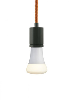 SoCo Pendant (7355|700TDSOCOPM24OZ)