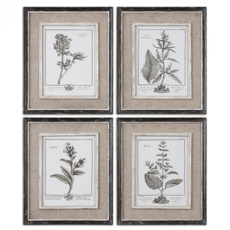 Uttermost Casual Grey Study Framed Art Set/4 (85|32510)