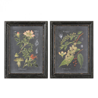 Uttermost Midnight Botanicals Wall Art Set/2 (85|56053)