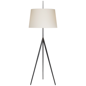 Triad Hand-Forged Floor Lamp (279|S 1641AI-PL)