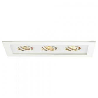 Low Voltage Multiple Two Light Trim (16|MT-316-WT/WT)