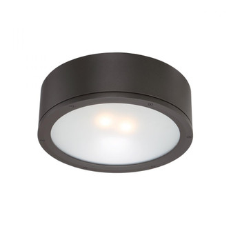 TUBE Outdoor Flush Mount Light (16|FM-W2612-BZ)
