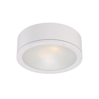 TUBE Outdoor Flush Mount Light (16|FM-W2612-WT)