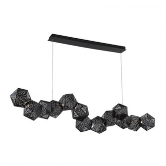RIDDLE 64IN 13LGT LINEAR PENDANT 3000K (3612|PD-62864-BK)