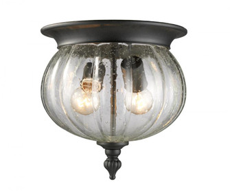 2 Light Outdoor Flush Mount (276|516F-BK)
