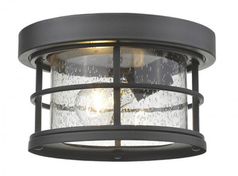 1 Light Outdoor Flush Mount (276|555F-BK)