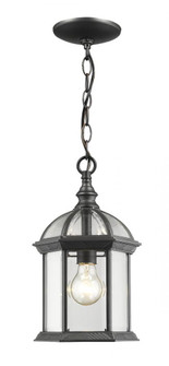 1 Light Outdoor Chain Mount Ceiling Fixture (276|563CHM-BK)