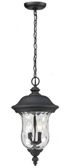 2 Light Outdoor Chain Mount Ceiling Fixture (276|533CHM-BK)