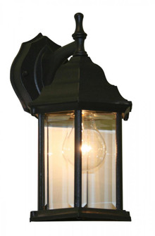 1 Light Outdoor Wall Light (276|T21BK)