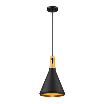 Mini-Pendant light (670|120-MB)