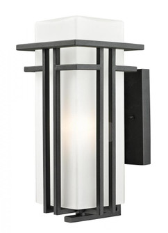 1 Light Outdoor Wall Light (276|549M-BK)