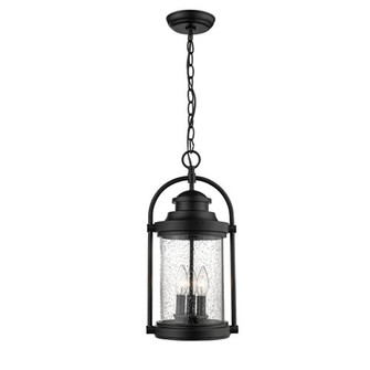 Outdoor Hanging Lantern (670|2544-PBK)