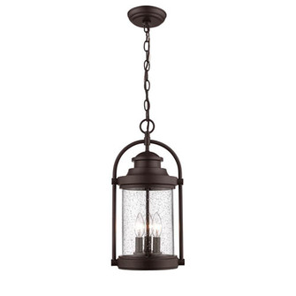 Outdoor Hanging Lantern (670|2544-PBZ)