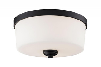 3 Light Flush Mount (276|220F3)