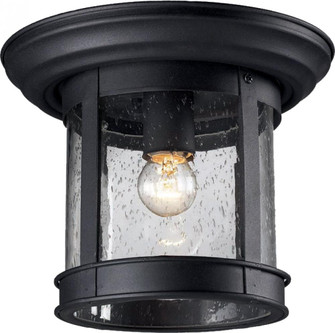 1 Light Outdoor Flush Mount (276|515F-BK)