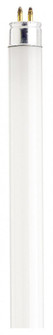 13 Watt; T5; Preheat Fluorescent; 4200K Cool White; 62 CRI; Miniature Bi Pin base (27|S1906)