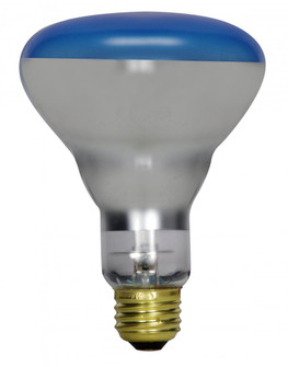 150 Watt R30 Incandescent; Grow; 2000 Average rated hours; Medium base; 120 Volt (27|S2852)