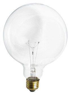 100 Watt G40 Incandescent; Clear; 4000 Average rated hours; 1150 Lumens; Medium base; 120 Volt (27|S3013)