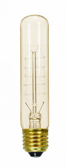 20 Watt T9 Incandescent; Clear; 3000 Average rated hours; 80 Lumens; Medium base; 120 Volt (27|S2415)
