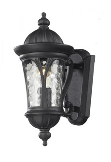 1 Light Outdoor Wall Light (276|543S-BK)