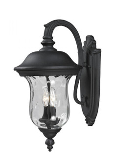 2 Light Outdoor Wall Light (276|534M-BK)