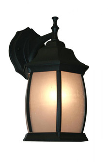 1 Light Outdoor Wall Light (276|T20-BK-F)