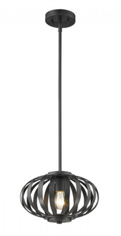 1 Light Pendant (276|438-8BRZ)
