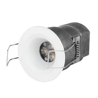 Mini LED Downlight  DC12V 3W  180Lm CRI80 (758|RM20530K-4PK)
