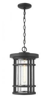 1 Light Outdoor Chain Mount Ceiling Fixture (276|570CHB-BK)