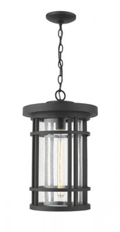 1 Light Outdoor Chain Mount Ceiling Fixture (276|570CHXL-BK)