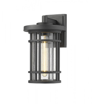 1 Light Outdoor Wall Light (276|570M-BK)