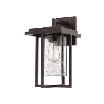 Outdoor Wall Sconce (670|2621-PBZ)