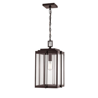Oakland 1-Light Outdoor Hanging Lantern Powder Coated Bronze (670|2635-PBZ)