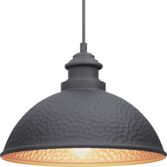 P550032-031 1-100W MED HANGING LANTERN (149|P550032-031)