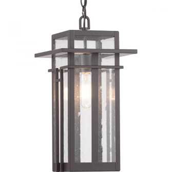 P550039-020 1-60W MED HANGING LANTERN (149|P550039-020)