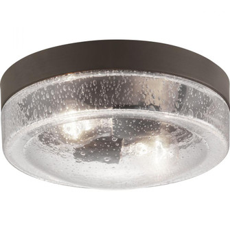 P550042-129 2-60W MED FLUSH MOUNT (149|P550042-129)