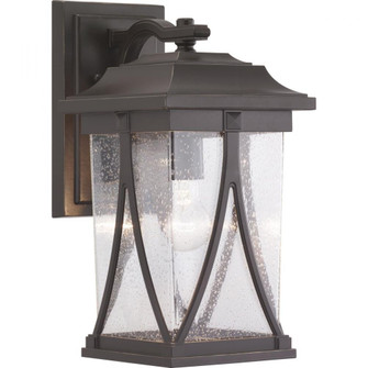 P560114-020 1-100W MED WALL LANTERN (149|P560114-020)