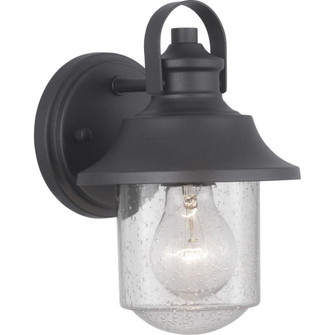 P560119-031 1-60W MED WALL LANTERN (149|P560119-031)