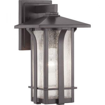 P560124-020 1-100W MED WALL LANTERN (149|P560124-020)