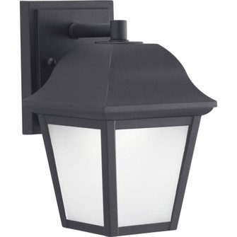 P560136-031-30 1-11W LED WALL LANTERN (149|P560136-031-30)