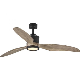 P250002-143-30 60IN 3 BLADE FAN LED LGT (149|P250002-143-30)