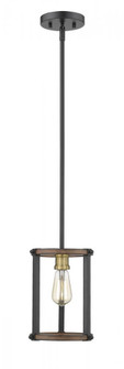 1 Light Pendant (276|472MPR-RM)
