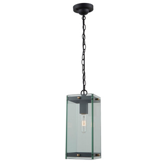 Bradgate 1-Light Outdoor Pendant (12|AC8135BK)