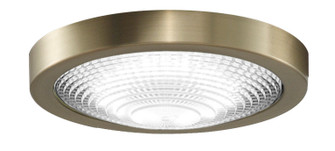 Spitfire Ceiling Fan LED Light Kit - Brushed Satin Brass (90|LK6721BBS)