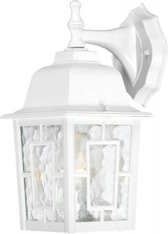 Banyan - 1 Light - 12'' Outdoor Wall with Clear Water Glass; Color retail packaging (81|60/3484)