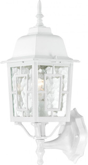 Banyan; 1 Light; 17 in.; Outdoor Wall with Clear Water Glass; Color retail packaging; White Finish (81|60/3487)